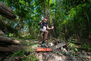 BIB: 
                            <button type="button" onclick="openModal(19388344)" class="btn btn-primary btn-sm float-right btn-popup" data-toggle="modal" data-target=".modal-high-quality">
                        <i class="fas fa-shopping-cart"></i> Add to Cart
                    </button>
                                            <button type="button" onclick="isThisMe(19388344, true)" class="btn btn-success btn-sm float-right btn-popup btn-isme hidden" data-toggle="tooltip" data-placement="bottom" title="นี่คือรูปของคุณใช่ไหม คลิกที่นี่เพื่อเอาเข้าอัลบั้ม">
                        <i class="fas fa-plus"></i> Add to album
                    </button>
                    <button type="button" onclick="isThisMe(19388344, false)" class="btn btn-warning btn-sm float-right btn-popup btn-isnotme hidden">
                        <i class="fas fa-ban"></i> Remove from album
                    </button>